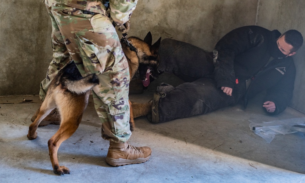 Military Working Dogs help safeguard Joint Base Charleston