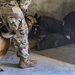 Military Working Dogs help safeguard Joint Base Charleston