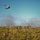 The 24th MEU trains to Raid