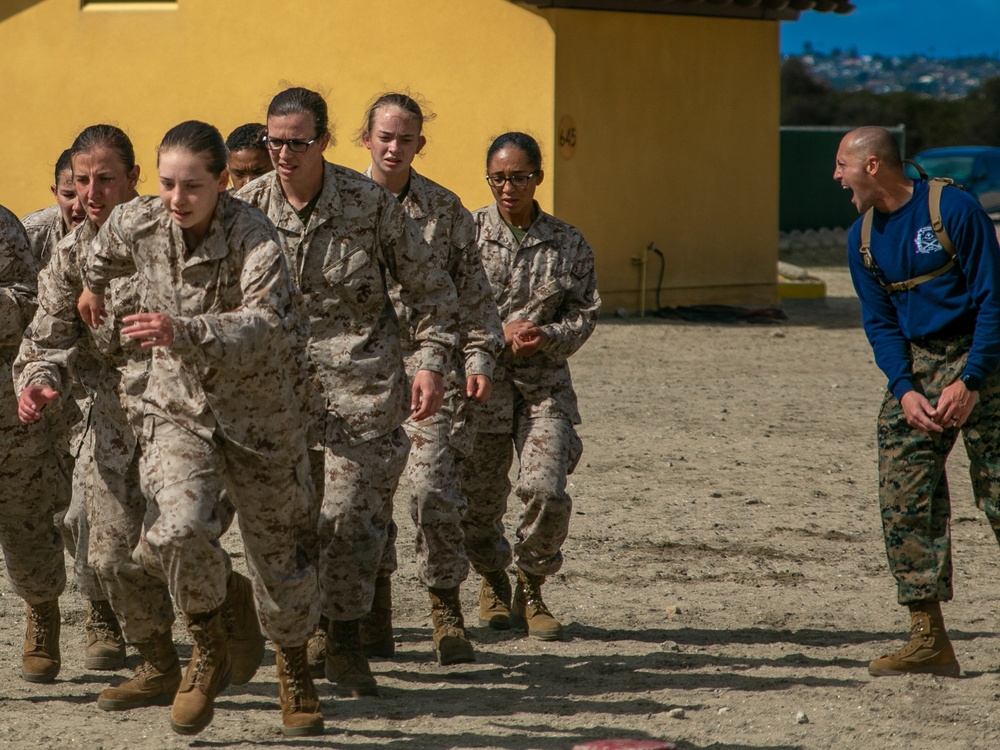 Recruits conduct training exercise at MCRD San Diego