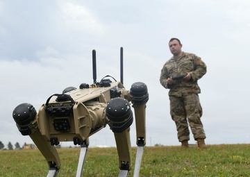 Tyndall brings in the big dogs