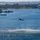 HSC-3 Search and Rescue (SAR) Training A military helicopter, appearing to be an MH-60 Seahawk, hovers low over a bay while conducting what appears to be a water rescue or combat swimmer insertion/extraction operation. A person is visible suspended below the helicopter on a hoist or rope above the water surface, with rotor wash creating a circular disturbance pattern on the water. The background shows a coastal urban area with a large bridge, green parkland, piers, and a distant cityscape consistent with San Diego Bay.