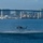 HSC-3 Search and Rescue (SAR) Training A military helicopter, appearing to be an MH-60 Seahawk, hovers low over a bay while conducting what appears to be a water rescue or combat swimmer insertion exercise. A person is visible suspended below or jumping from the helicopter as rotor wash disturbs the water surface. A large cable-stayed bridge and urban skyline consistent with San Diego Bay are visible in the background.