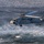 HSC-3 Search and Rescue (SAR) Training A U.S. Navy helicopter, marked with the number '30' and 'NAVY' on its fuselage, hovers low over choppy ocean water. Two individuals in the water below appear to be involved in a rescue or combat swimmer training operation. The image captures an active maritime search and rescue or special operations exercise.
