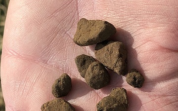 Archeological Dig at Muscatatuck - Prehistoric Pottery