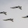 USAF Thunderbirds certify for 2021 season USAF Thunderbirds certify for 2021 season