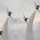 USAF Thunderbirds certify for 2021 season USAF Thunderbirds certify for 2021 season