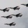 USAF Thunderbirds certify for 2021 season USAF Thunderbirds certify for 2021 season