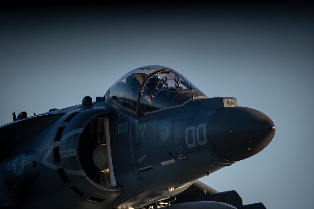 Harriers on the Essex