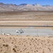 Helicopter Sea Combat Squadron (HSC) 4 Conducts Air Delivered Ground Refueling (ADGR) Evolution with Navy CMV-22B Osprey