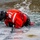 Coasties work to keep the North Country safe