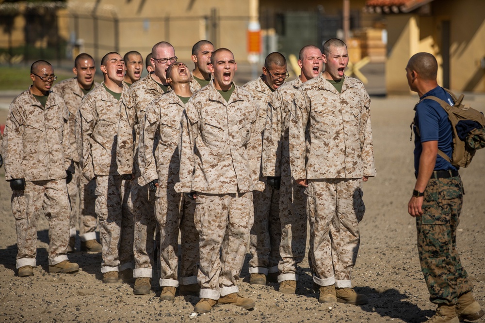 India Company Confidence Course