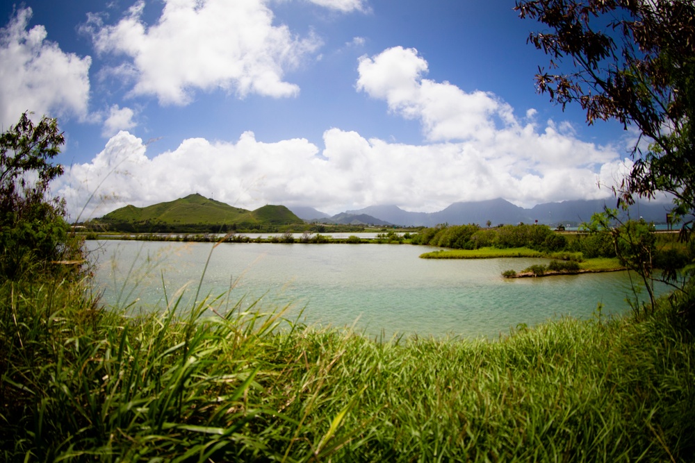 Marine Corps Base Hawaii: Mokapu Cultural Sites Tour