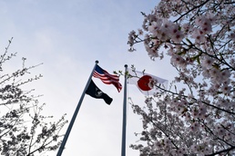 Spring blooms onboard CFAY