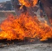KFOR Polish Contingent braves fire phobia training