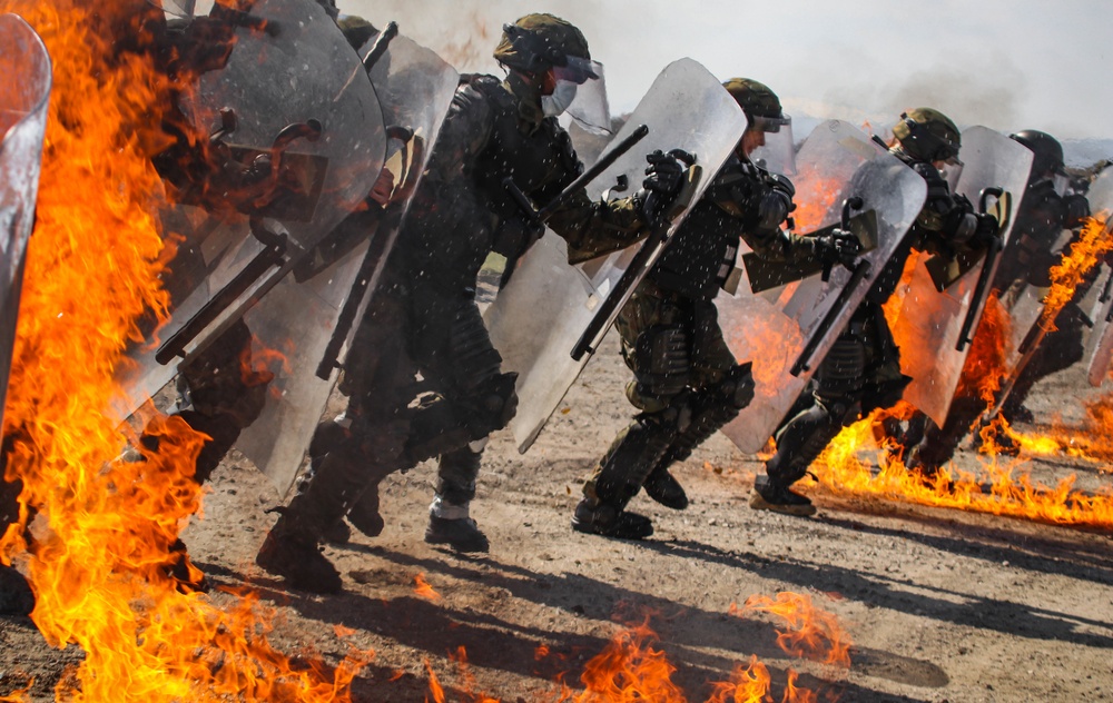 KFOR Polish Contingent braves fire phobia training