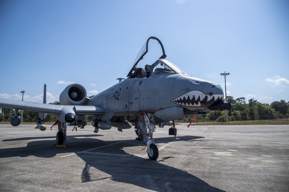 A-10C Thunderbolt II Aircraft visit MacDill AFB during Mosaic Tiger