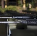 Hotel Company Rifle Issue