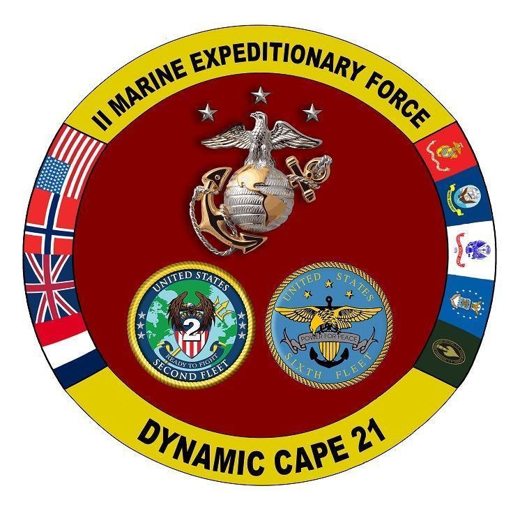 Dynamic Cape 21.1 Official Logo