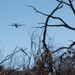 Air National Guard flies C-130 Hercules over Fort McCoy