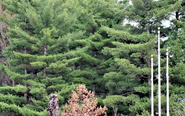 March 2021 views at Fort McCoy's historic Commemorative Area