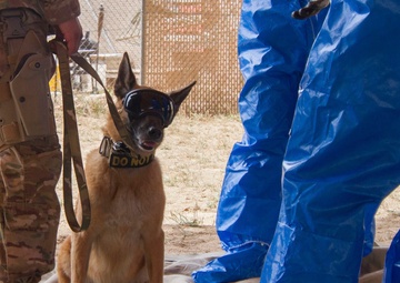 Saving Our Hides: A Kit for Every Occasion