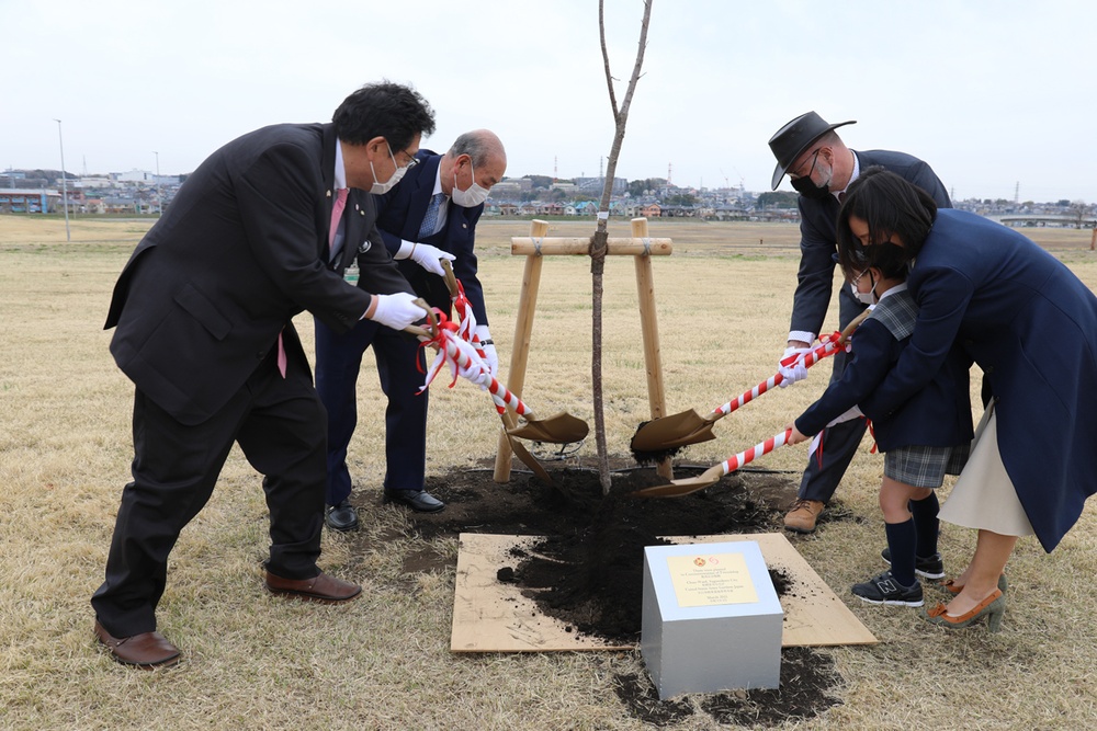 U.S., Japan plant cherry blossom tree on Sagami Depot as symbol of friendship