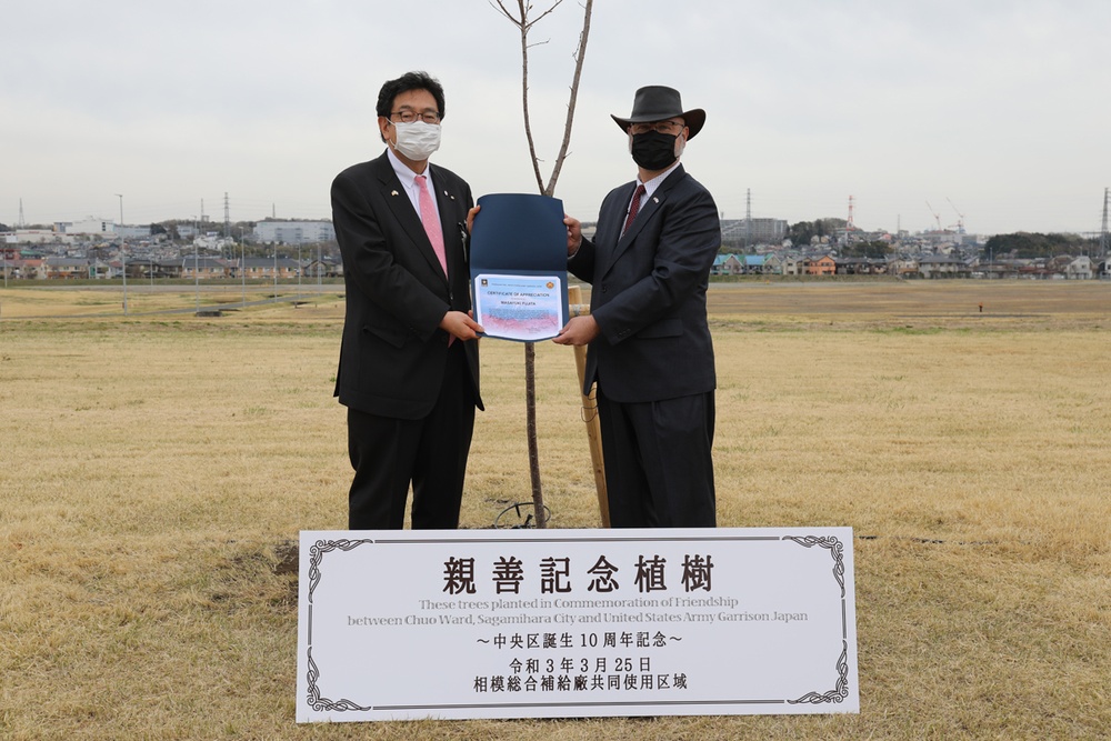 U.S., Japan plant cherry blossom tree on Sagami Depot as symbol of friendship