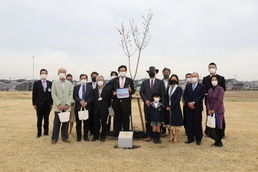 U.S., Japan plant cherry blossom tree on Sagami Depot as symbol of friendship
