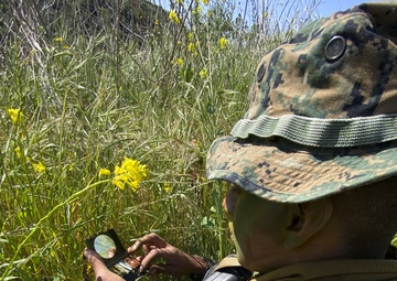 IMC Marines sharpen patrolling skills