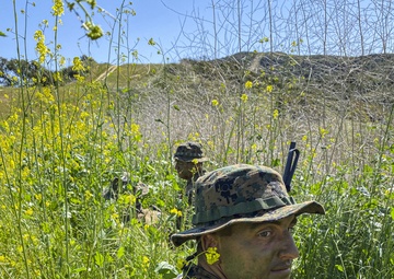 IMC Marines sharpen patrolling skills