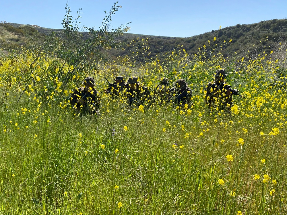 IMC Marines sharpen patrolling skills