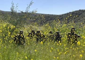 IMC Marines sharpen patrolling skills