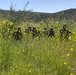 IMC Marines sharpen patrolling skills