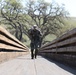 Cal Guard hosts its Best Warrior Competition