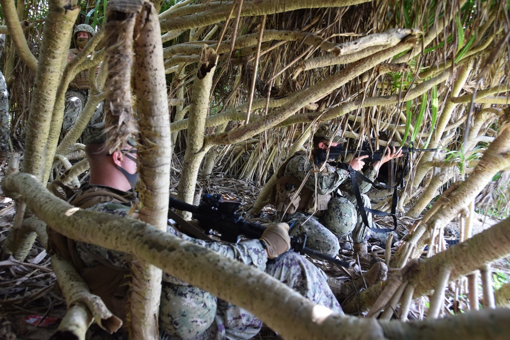 NMCB 4 and 3rd Marines Defend the Beach