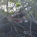 Beach Clean-Up on Diego Garcia