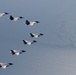 Fifth Generation Fighters Train in Japan