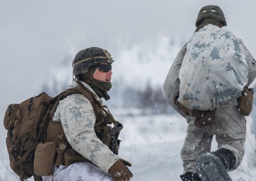 Raising Hell in the Arctic: MRF-E Marines Conduct Company Live-Fire Attacks