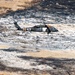 Utah National Guard fights the East Myton Complex Fire in Duchesne County