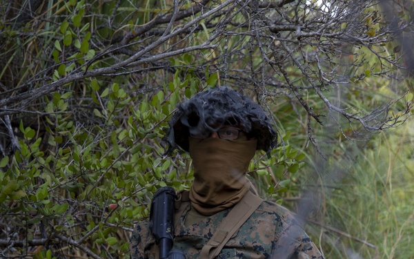 IMC Marines patrol in the night