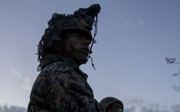 IMC Marines patrol in the night