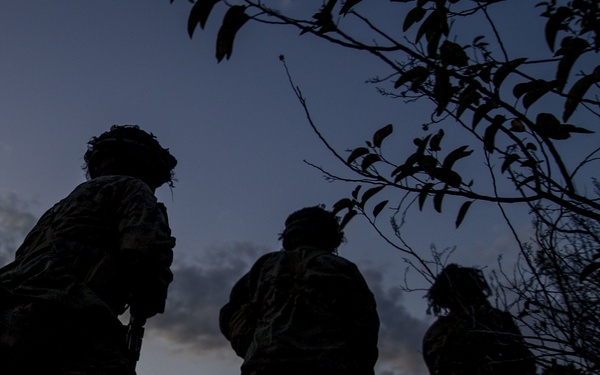 IMC Marines patrol in the night