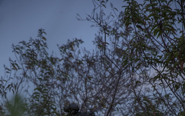 IMC Marines patrol in the night