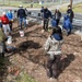 Naval Magazine Indian Island Participates In Kilisut Harbor Restoration Project