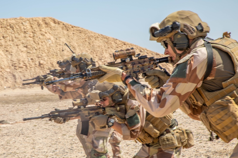 Task Force Viking Soldiers conduct specialized line fire weapon training to counter Daesh