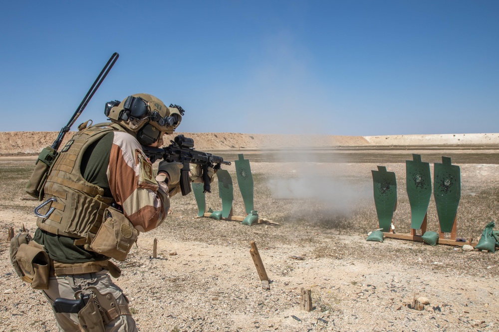Task Force Viking Soldier conducts specialized weapon training to counter Daesh