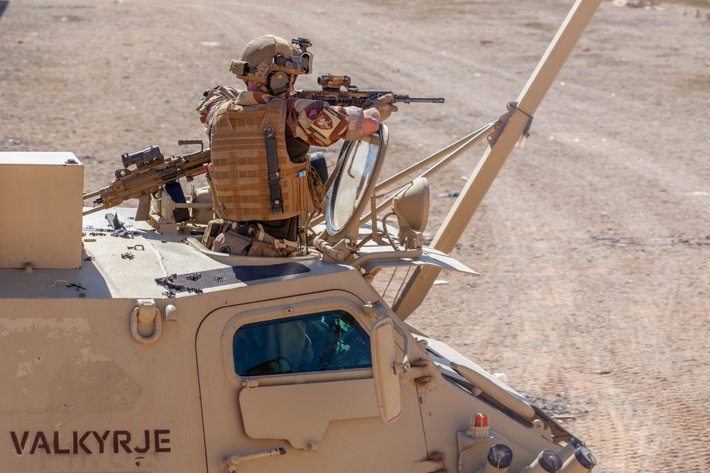 Task Force Viking Soldiers conduct vehicle maneuver and firing training to counter Daesh