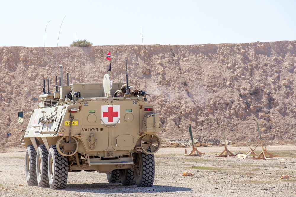 Task Force Viking Soldiers conduct vehicle maneuver and firing training to counter Daesh