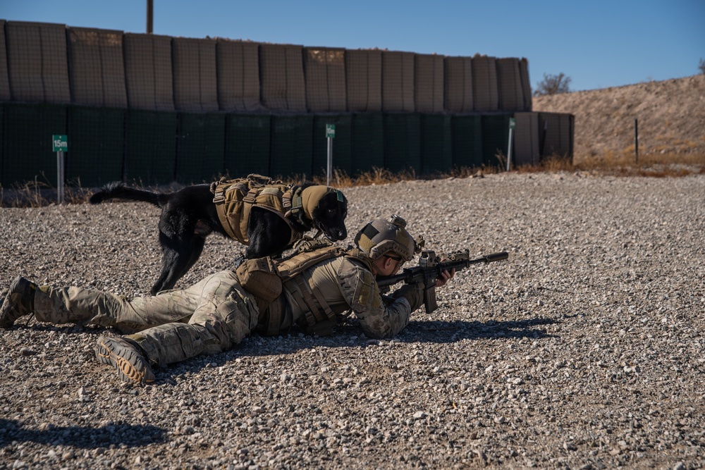 SOCS-D SOF Level 1